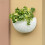 Flower Pot Exquisite Wall-mounted Plastic Wall Hanging-grey 4