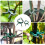 Plant Clips 20Pcs Reusable Plastic Gardening Accessories Fixing 2