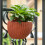 Flower Pot Exquisite Wall-mounted Plastic Wall Hanging-grey 7
