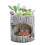 Tree Hole Succulent Pots Resin Ornaments Gift for-Hedgehog 5