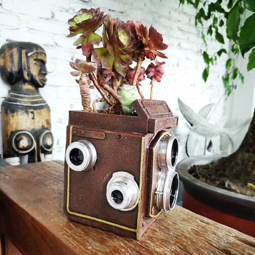 Creative Camera Flower Pot Garden Plant Suitable for-Brown 2