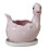 Cute Dinosaur Ceramic Succulent-Pink Laying dinosaur eggs 1