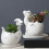 Cute Dinosaur Ceramic Succulent-Pink Laying dinosaur eggs 6