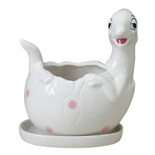 Cute Dinosaur Ceramic Succulent-White Laying dinosaur eggs