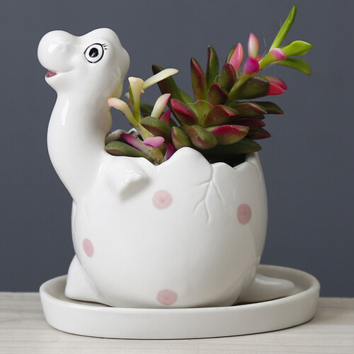 Cute Dinosaur Ceramic Succulent-White Laying dinosaur eggs 2
