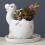 Cute Dinosaur Ceramic Succulent-Pink Laying dinosaur eggs 7