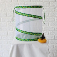 Foldable 12x14 Mesh Enclosure for Caterpillars to Butterflies Journey