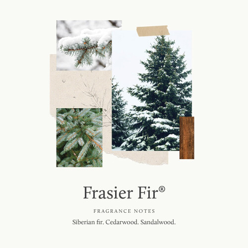 Thymes Handseife - Frasier Fir - 245 ml 2