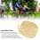 High Tensile 9 Speed Bicycle Chain for Smooth Shifting Systems 8