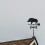 Pig Shape Weather Vane Easy Assembly Directional Indicators 6