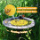 Lightweight Floating Bees Pads Attract Pollinators to Backyard 4