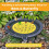 Lightweight Floating Bees Pads Attract Pollinators to Backyard 6