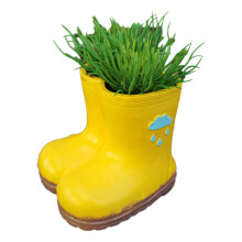 Cute Boot Shape Figurines Desktop Ornament Planter Plant Pot