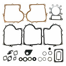 Complete Pakkingset voor Briggs &Amp, Stratton 495993 Vervangt 287777 28N707 287707