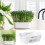 Simple to Use Sprouting Basket Soilless Cultivation Tray Bean 2