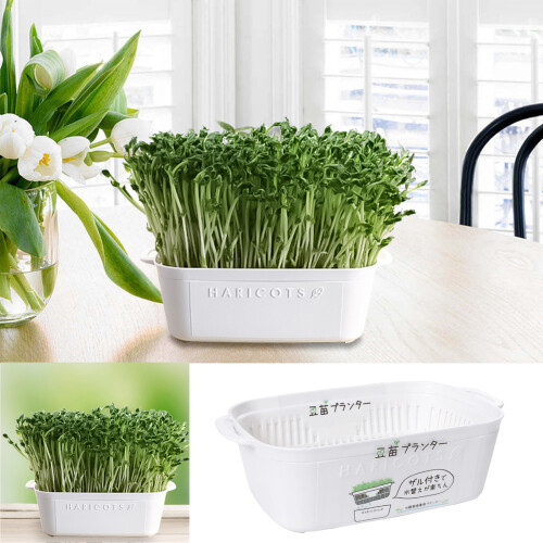 Simple to Use Sprouting Basket Soilless Cultivation Tray Bean 1