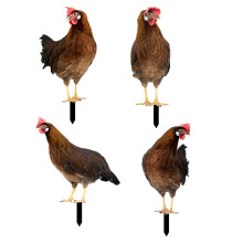 Chicken Yard Sign Decoration Acrylic Garden Stakes Ornaments-K