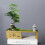 Unique Home Flower Plants Deco Ideas, A Creative and-Black 6