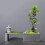 Unique Home Flower Plants Deco Ideas, A Creative and-Black 7