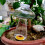 2pcs Drip Irrigation System Mushroom Automatic Self Watering 4