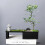Unique Home Flower Plants Deco Ideas, A Creative and-Black 5