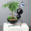 Smeedijzeren mier bloempot cartoon dier bloem container-Type B 7