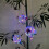 Solar Butterfly Ball Light Decoratieve Ophangbare Home-1 4