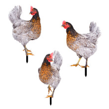 Chicken Garden Stakes Acrylic Yard Signs Outdoor Sculpture-E