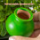 4Pcs Small Wine Bottle Automatic Plant Dripper-four color set 7