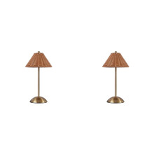 2X LED Rattan Rechargeable Desk Lamp 3 Color Light Changing Southeast Asian Style Decor Lamp Brown