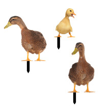 3 teile/satz Acryl Ente Garten Stake Ornamente Handwerk Liefert