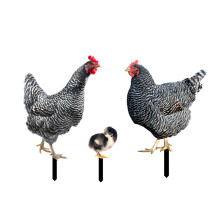Chicken Yard Sign Decorative Garden Stakes Outdoor-YKLU074