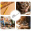Angle Protractor | 180 Degree Swing Arm Protractor, 10cm Solid Ruler, Geometry Math Drawing Measuring Finder Tool 2