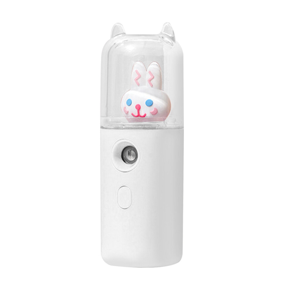 GesichtsnebelsprÃ¼her, 30 ml, wiederaufladbar Ã¼ber
