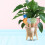 4Pcs Plant Watering Globes Automatic Watering Globes Watering 4