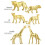 12-teiliges Tierfiguren-Modell, 10