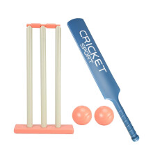 Children Cricket Set Portable Indoor Play 2 Balls Included For Backyard Summer Sports