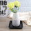 Plastic Flower Pot Drip Trays 2pcs Square Succulent Potted 2
