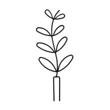 Metal Plant Trellis for Climbing Plant Black Iron Trellis