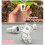 100pcs Sqaure Net Cups Pots Plant Containers Hydroponics 4