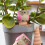 4pcs Owl Watering Stakes Terracotta Automatic Waterer System for 6