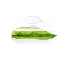 Aquarium Decors Plant Ornaments Colorful Artificial Leaves For Shrimp Habitat, Tank Landscaping, Plastic Plant Decor