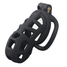 Chastity Cage for Men Fitness Training Chastity Lock With 4 Fixed Arc Rings 42mm 45mm 48mm 52mm Standard