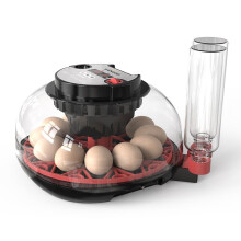 12Egg Chicken Egg Incubator With Auto Turner, LED Candler, Temp  Humidity, Fahrenheit/Celsius Switch