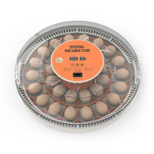 Egg Incubator 30Egg Automatic Turning, LEDCandler Auto Temperature Control, Transparent Cover Kids STEM Hatch Rate 95%