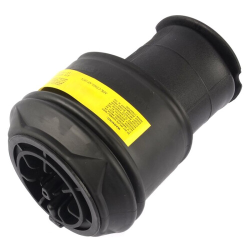 Rear Air Suspension Spring for  C4  9681946080 New 2