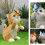 Statue de chats papillon, ornement de jardin,-petit chat orange 3