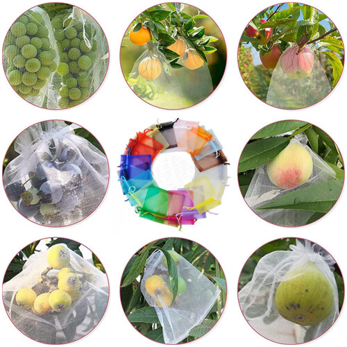 Sacs de protection pour fruits, 100 pièces, sacs de-vert 2
