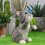 Statue de chats papillon, ornement de jardin,-petit chat orange 5