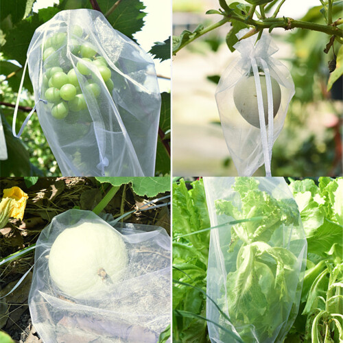 100Pcs Fruit Protective Bags for Strawberry Blueberry-Blue 2